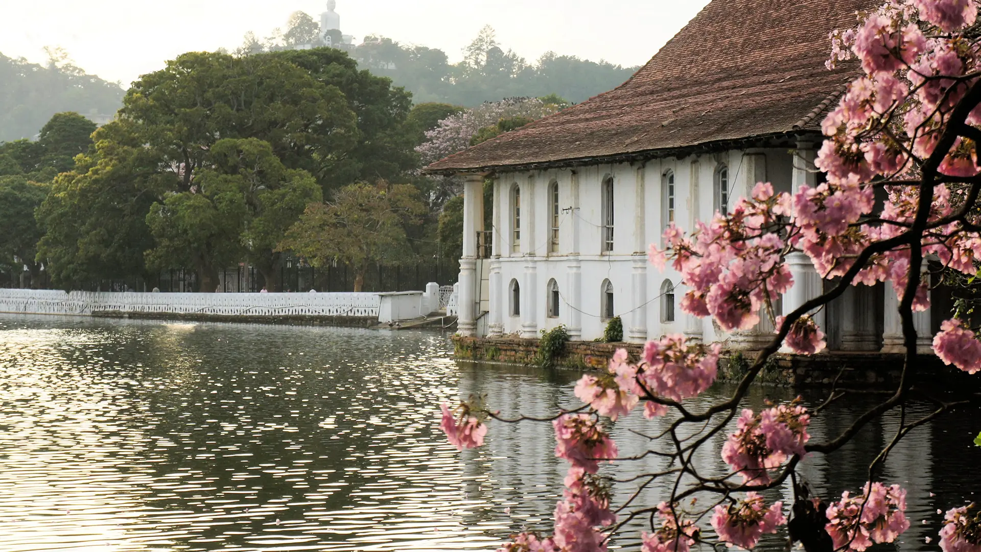 Kandy - Image 3